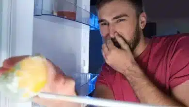 6 ways to know stale food