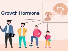 8 Benefits of Growth Hormone You Should Know