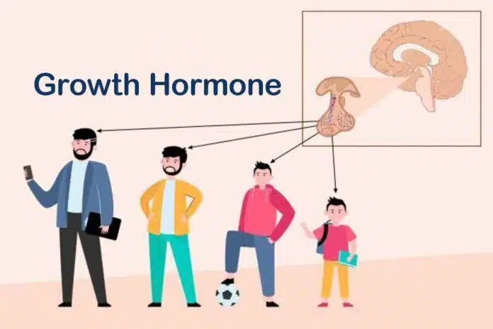 8 Benefits of Growth Hormone You Should Know