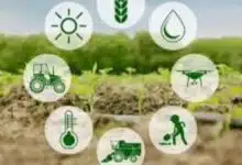 New experiments and techniques in agriculture