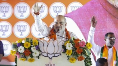 Amit Shah's promise in Jharkhand: If "infiltrator" marries a tribal, he will not get land