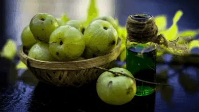 Amla consume it like this to grow hair quickly 2