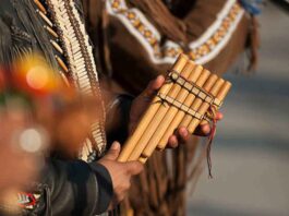 Bamboo Music a blend of nature and sound