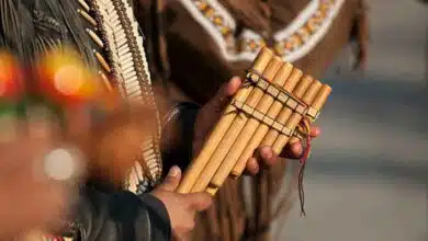 Bamboo Music a blend of nature and sound