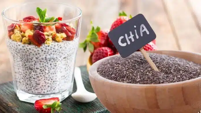 Benefits of drinking Chia seeds water on an empty stomach