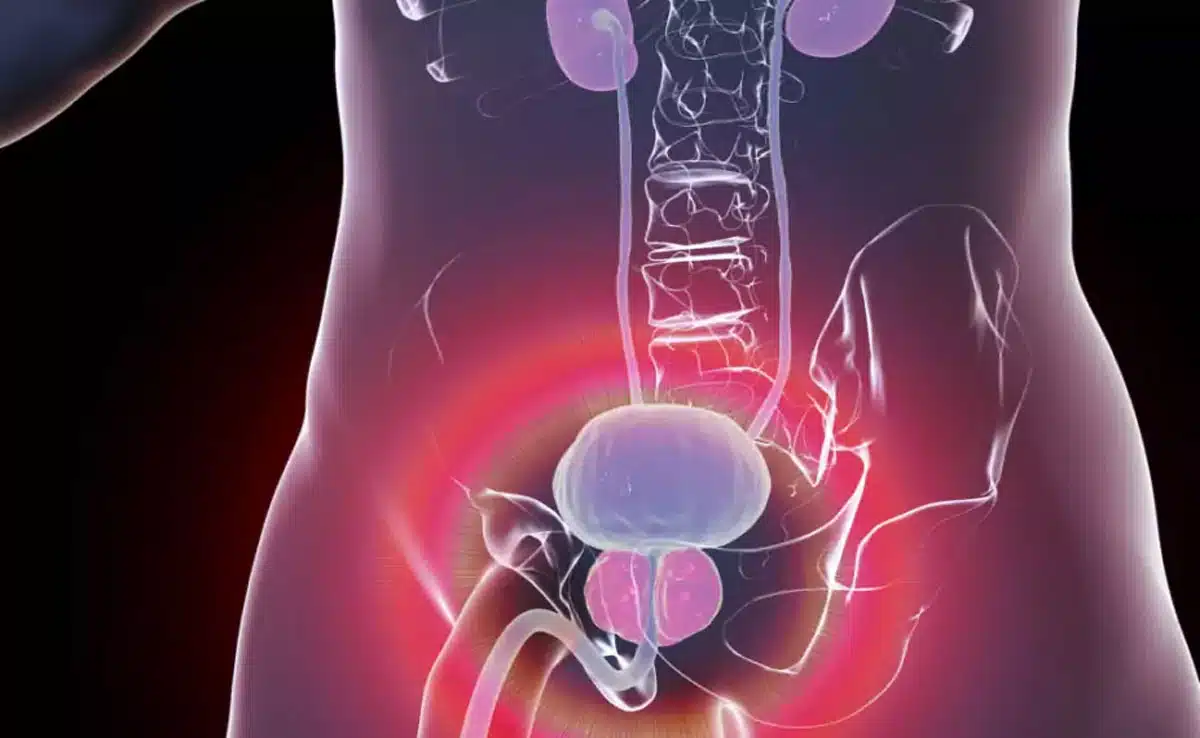 International Men's Day 2024: Five common urinary problems in men that everyone should be aware of