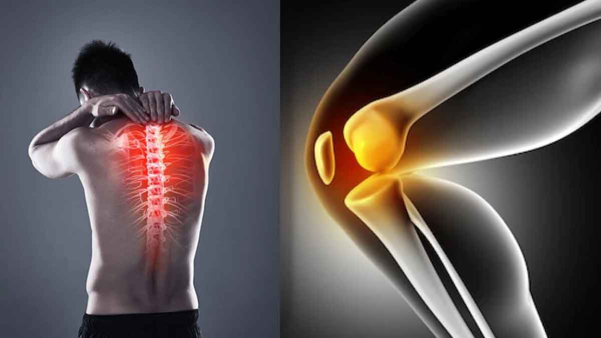 Bone pain is caused by the deficiency of?