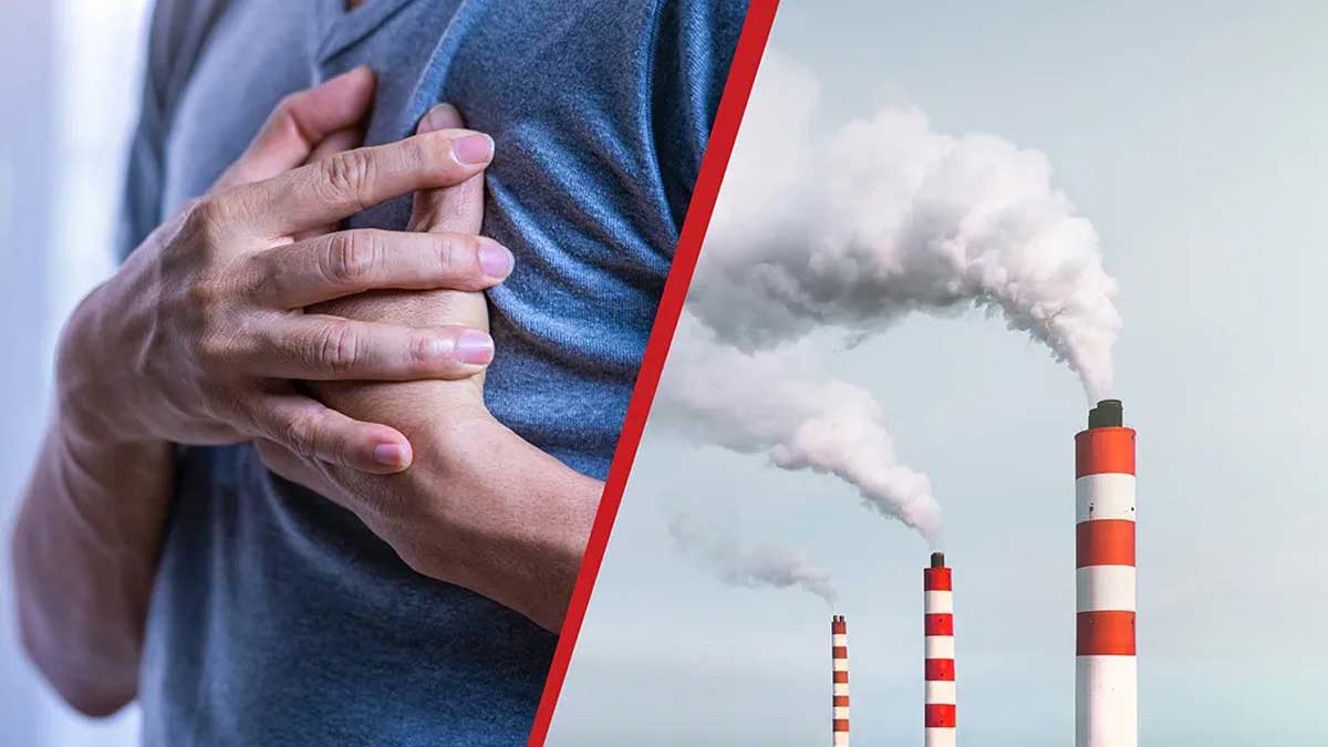 Can air pollution affect your heart health? Know what you can do