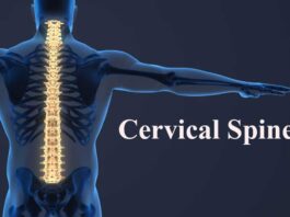 12 Importance of Cervical Spine in Daily Life