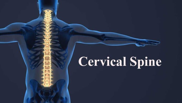 12 Importance of Cervical Spine in Daily Life