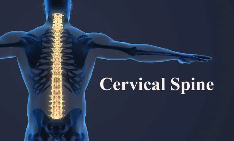 12 Importance of Cervical Spine in Daily Life