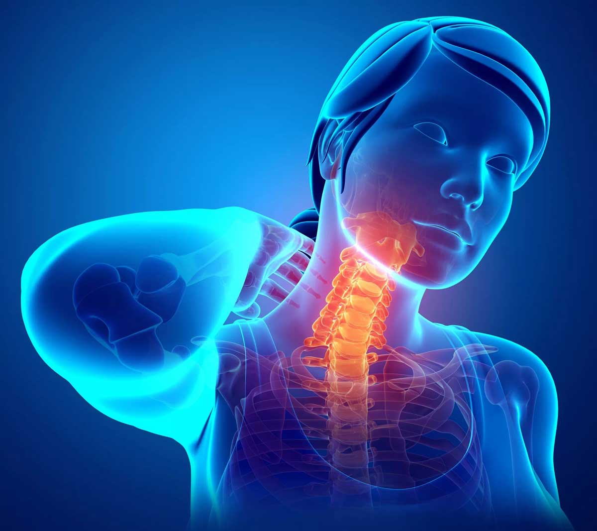 12 Importance of Cervical Spine in Daily Life