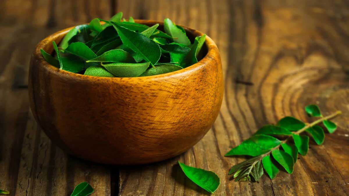 Curry Leaves for Hair A new addition to your regular hair-care routine