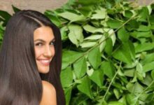 Curry Leaves for Hair A new addition to your regular hair-care routine