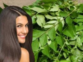 Curry Leaves for Hair A new addition to your regular hair-care routine