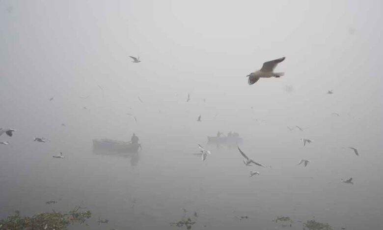 Delhi govt demands emergency measures from the center regarding rising pollution