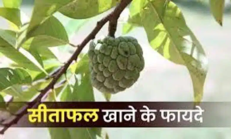 Eating Sitaphal gives these 5 benefits to the body
