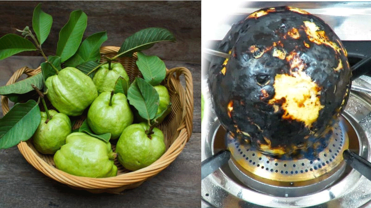 Eating roasted guava will give these 5 benefits to your health