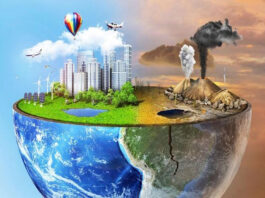 Know about the main causes and effects of pollution