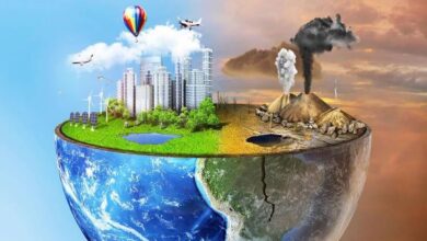 Know about the main causes and effects of pollution