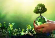 What is the effect of carbon on the environment?