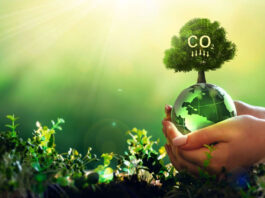 What is the effect of carbon on the environment?