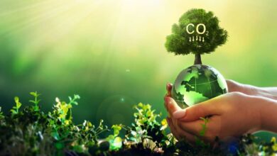 What is the effect of carbon on the environment?