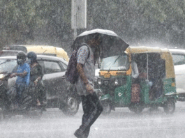 Kerala: Heavy rain expected in next 5 days, yellow alert issued for 10 districts