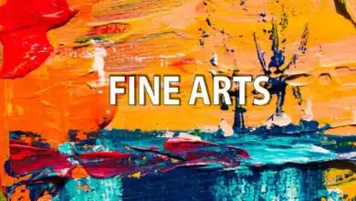 Fine Arts Reflection of the human experience