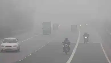 Visibility affected due to dense fog in Haryana, highways jammed