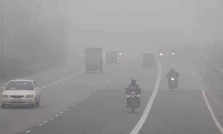 Visibility affected due to dense fog in Haryana, highways jammed