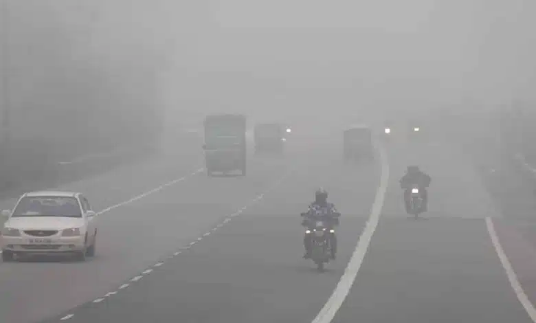 Visibility affected due to dense fog in Haryana, highways jammed