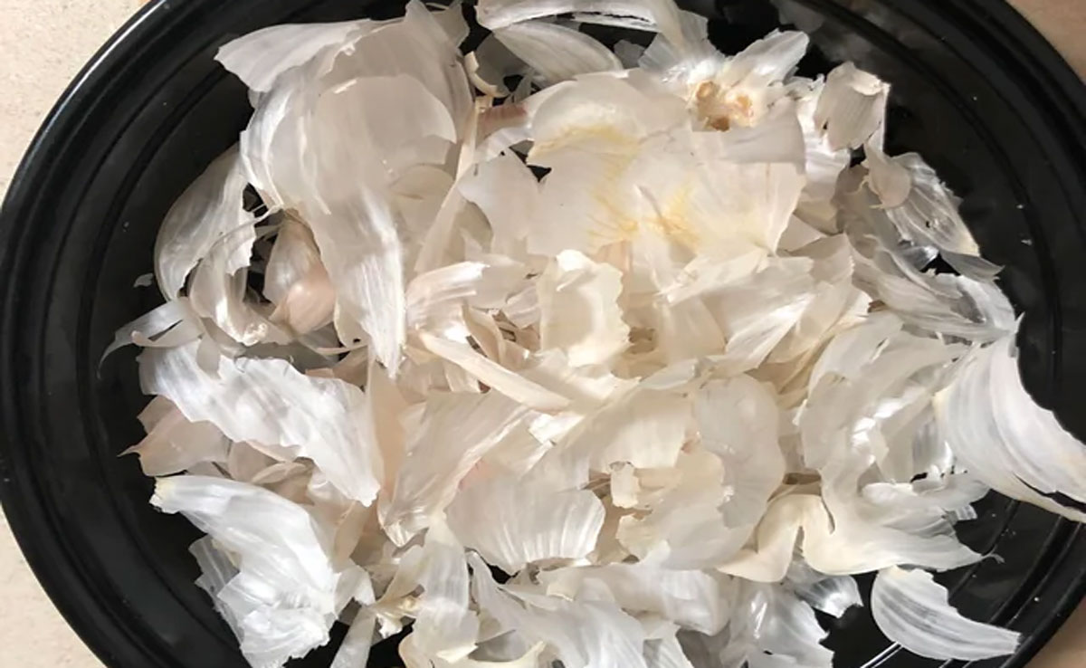 Benefits of Garlic Peels: A Unique Discovery.