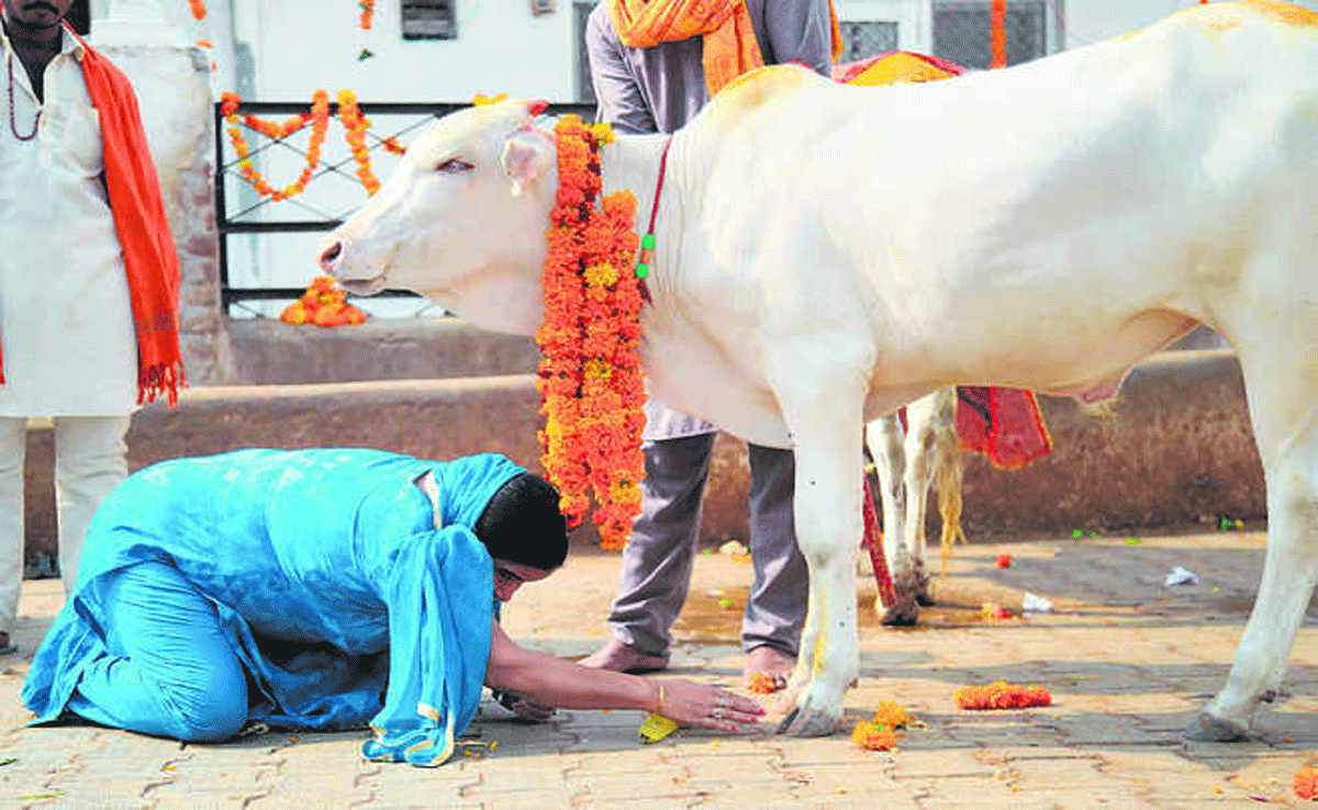 Gopashtami 2024: Date, Muhurta and method of worship