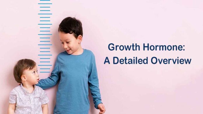 Growth Hormone A Detailed Overview