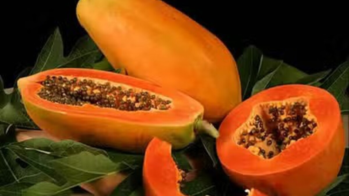 Harms and benefits of eating Papaya