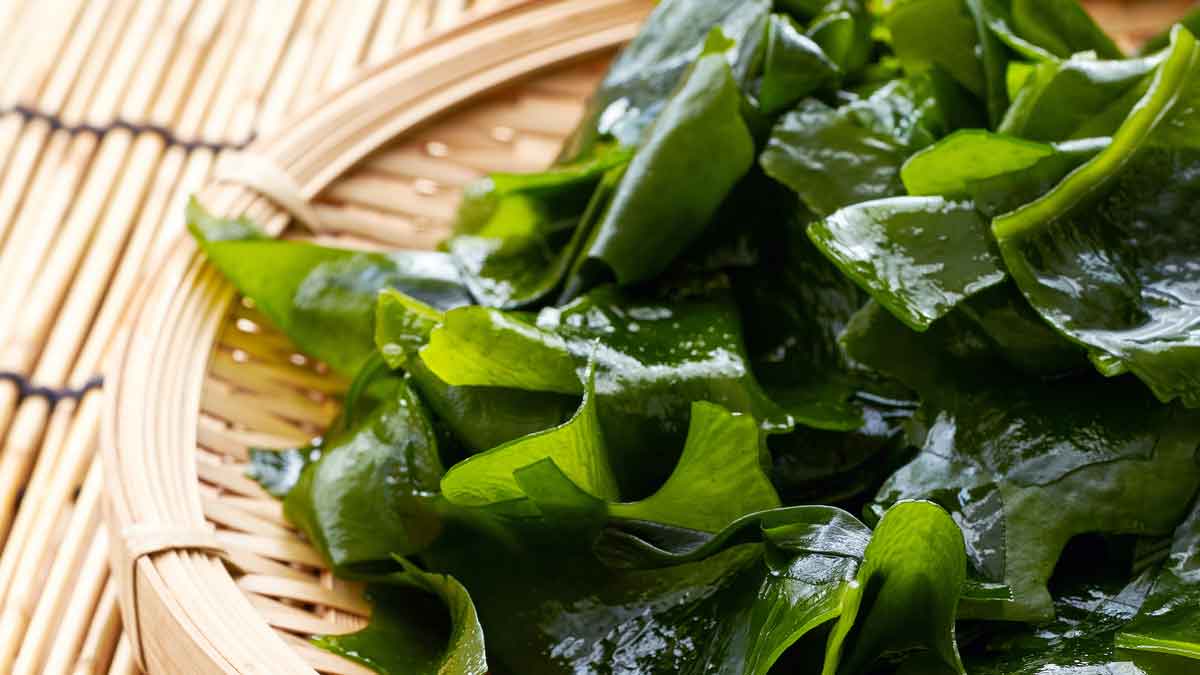 Seaweed: a precious gift for health