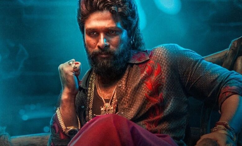 How did the telecom of Pushpa 2 come against Allu Arjun's family