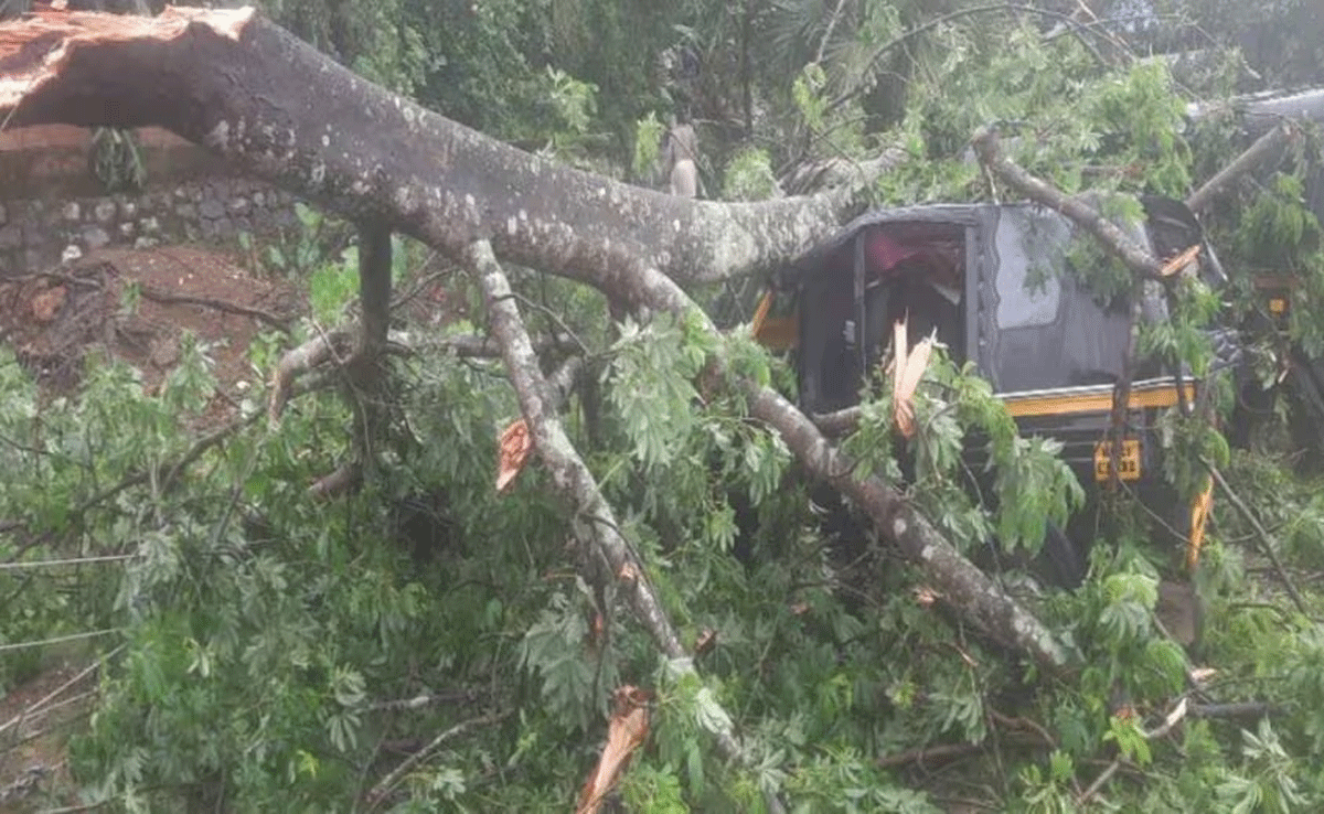 Kerala: Heavy rain expected in next 5 days, yellow alert issued for 10 districts