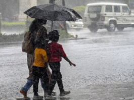 Kerala: IMD issues orange alert in three districts due to storm in parts of the state