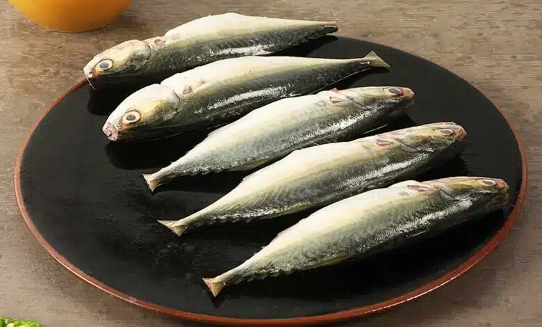 Mackerel: a sustainable seafood option