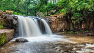 Discovering the hidden gems of Madhya Pradesh