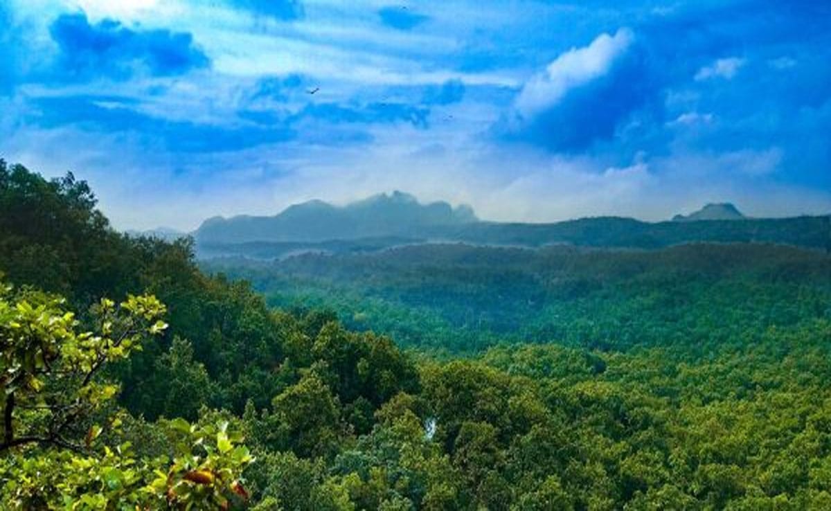 Madhya Pradesh: Land of diverse landscapes and cultures