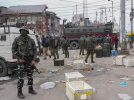 Terrorists throw grenade in crowded Sunday market in Srinagar, 12 people injured