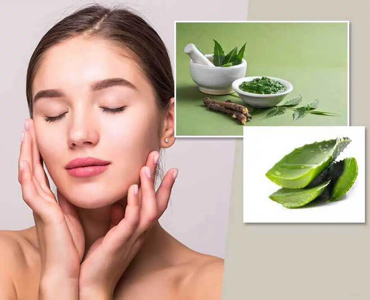 Neem for Dandruff A natural remedy to get rid of it