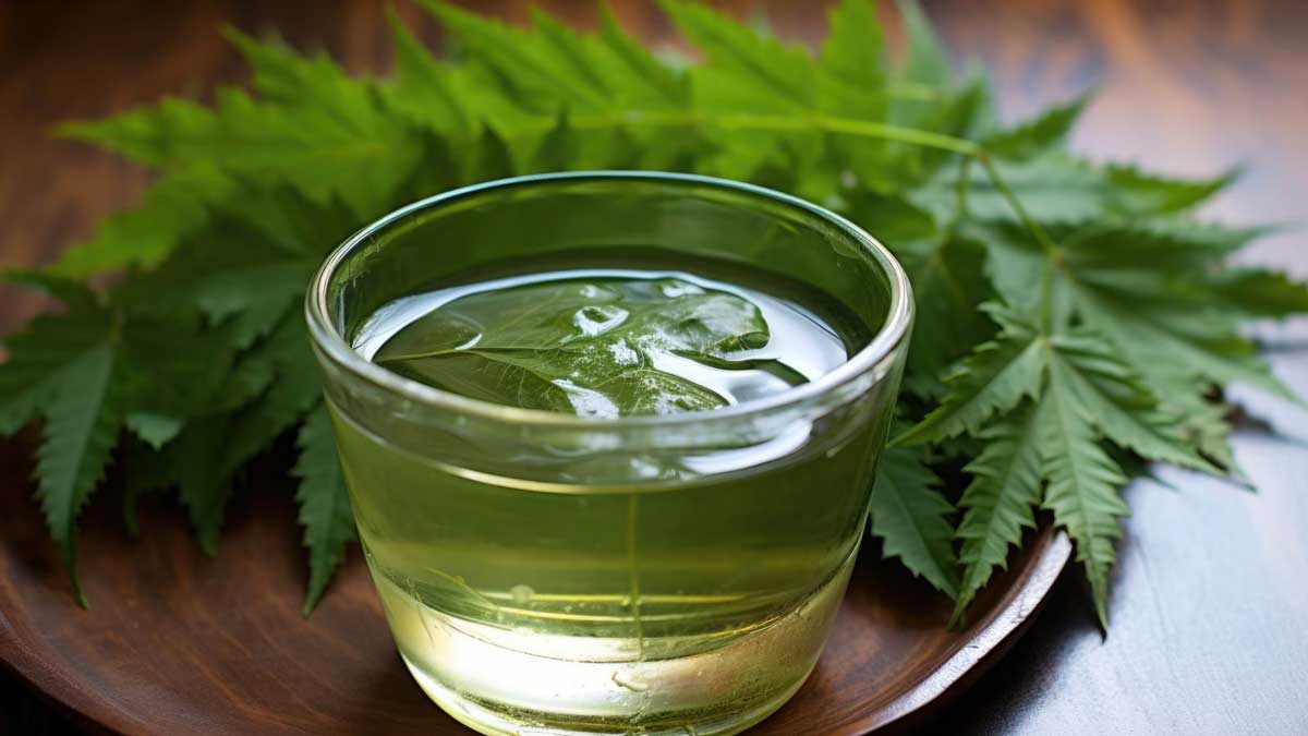 Neem is a natural remedy to get rid of dandruff