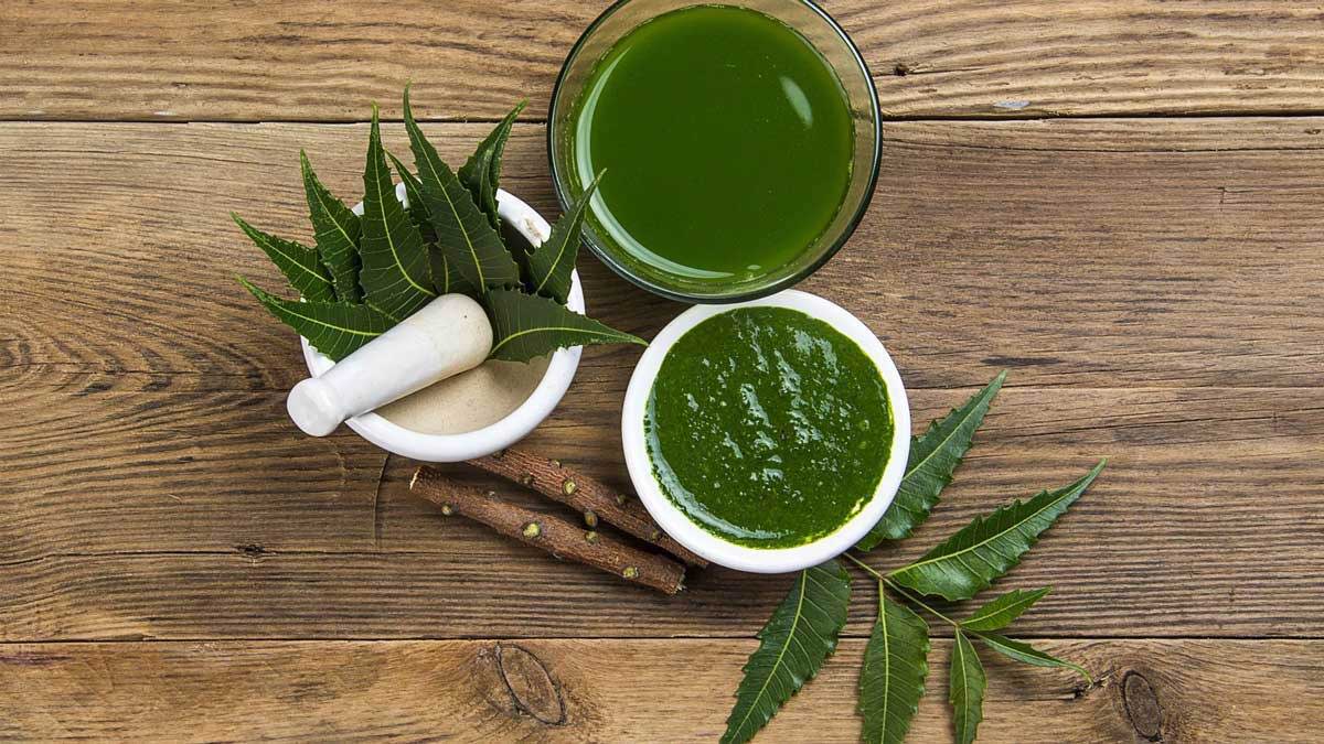 Neem for Dandruff A natural remedy to get rid of it