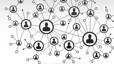 How to Build a Successful Network
