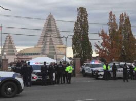 Ontario Sikh organization condemns violence outside Hindu temple in Brampton