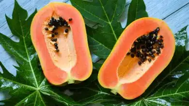Papaya leaves and seeds are very beneficial for health, know why they should be consumed on an empty stomach.